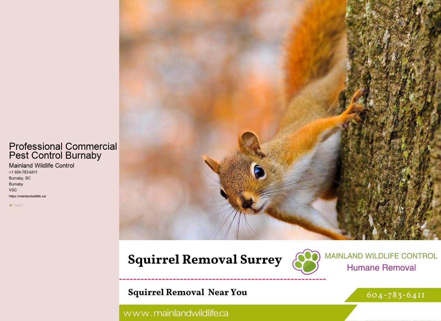 Trusted Eco-friendly Pest Prevention Burnaby