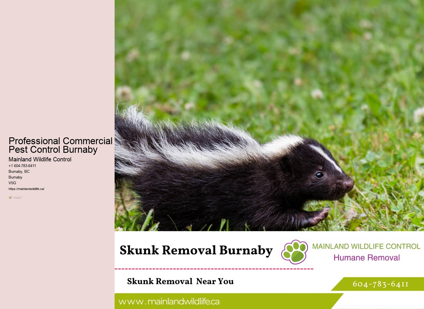 Trusted Eco-friendly Pest Control Solutions Burnaby